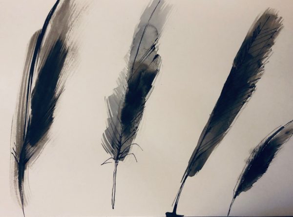 GTA nesting gutter feather1