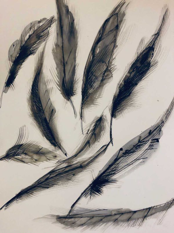 GTA nesting gutter feather2