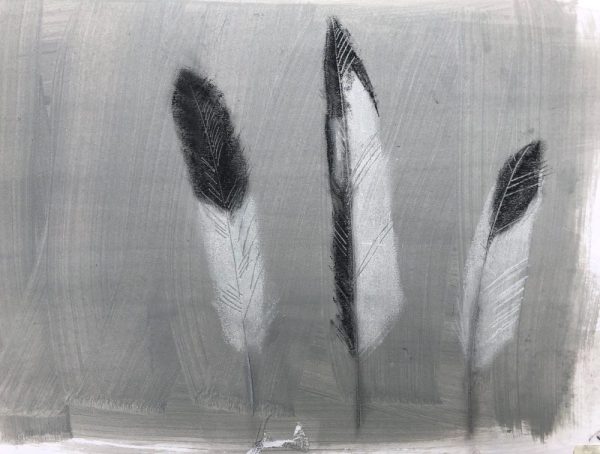 GTA nesting gutter feather3