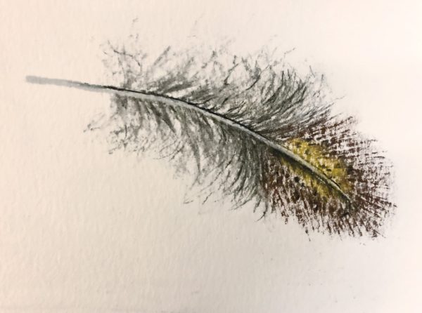 GTA nesting gutter feather6