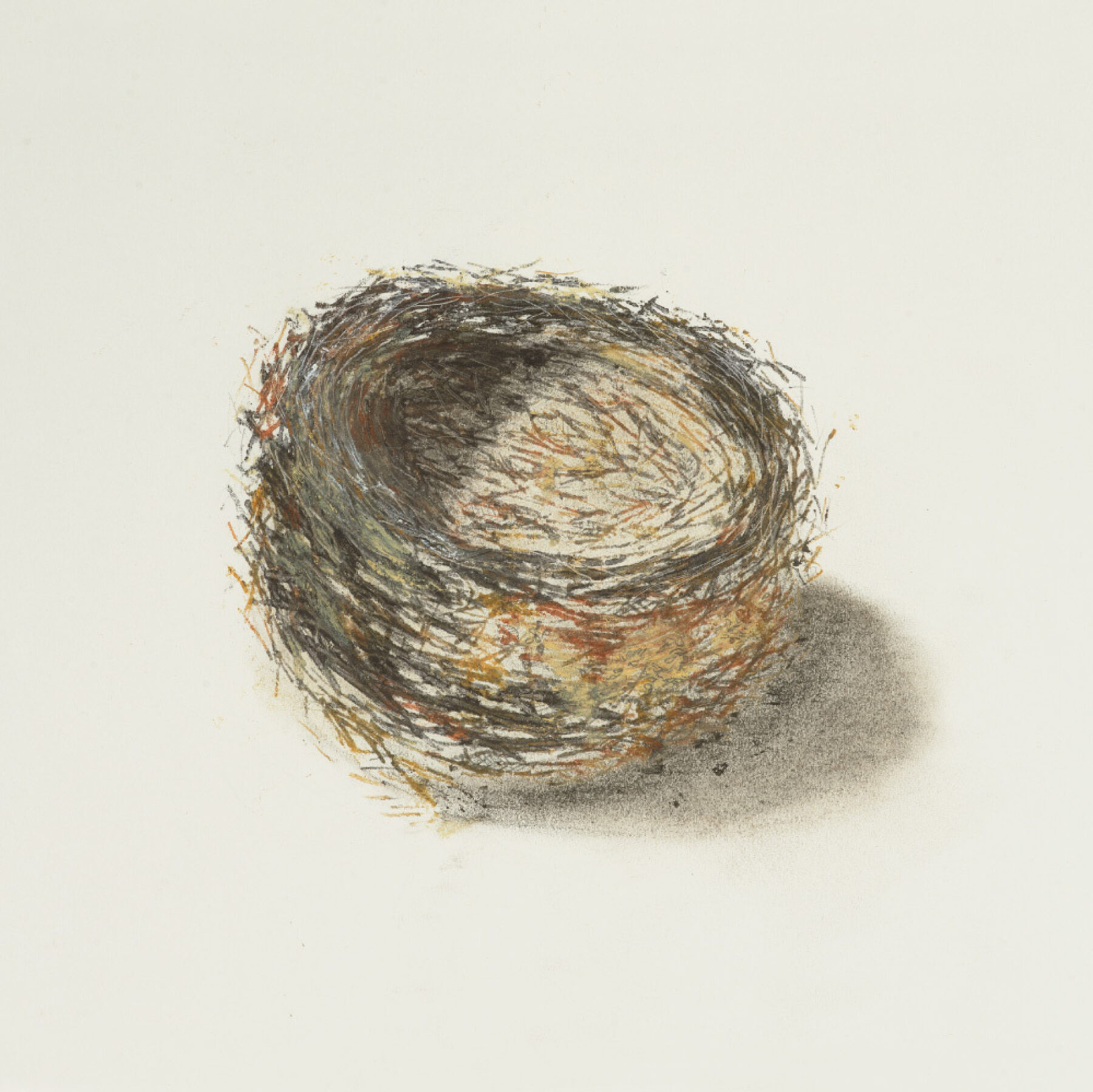 GT art web nesting 10